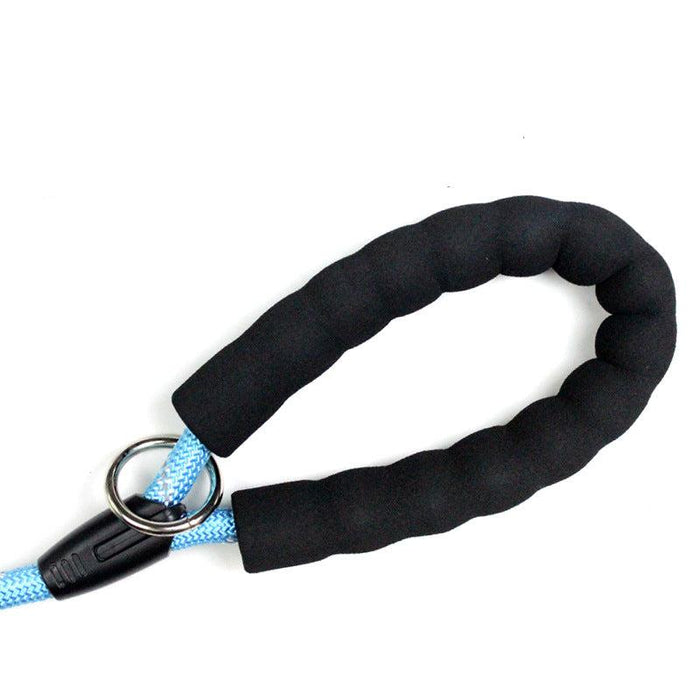 Pets: Dog Leash