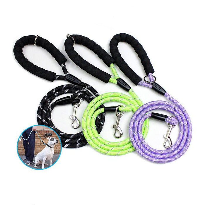 Pets: Dog Leash