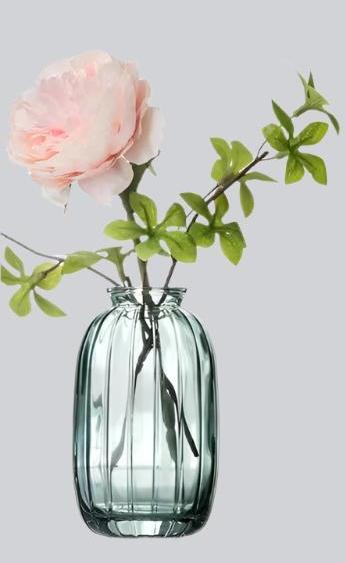 Ins Glass Vase