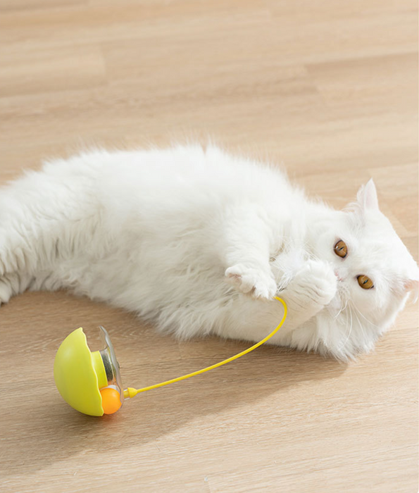 Pets Toy: Roly Poly Cat Toy