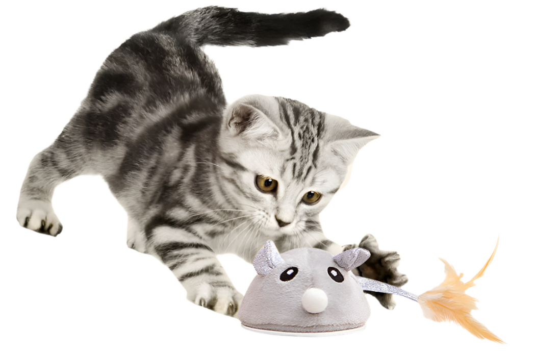 Pets: Cat Toy Electric Mouse (USB)