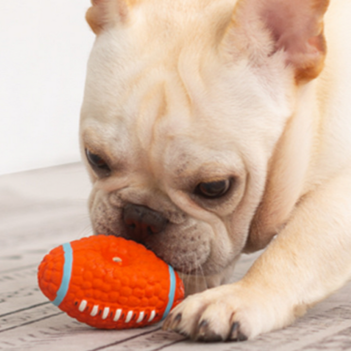 Pets: Dog Toy Rugby ball